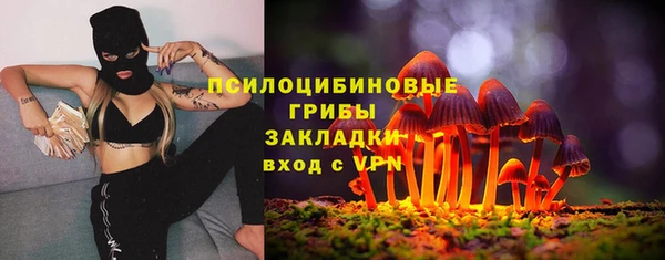 ALPHA PVP Алексин