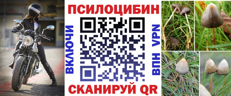 Галлюциногенные грибы прущие грибы  Энем 